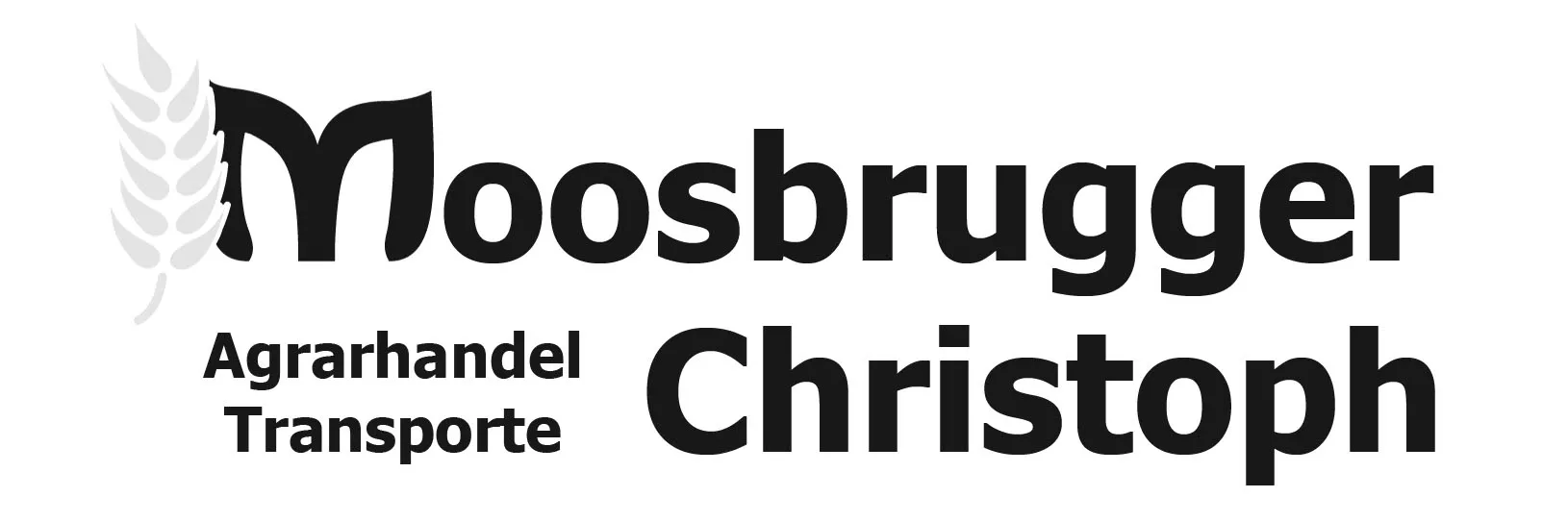 Moosbrugger Christoph, Agrarhandel, Transporte, J&B Igl Webdesign, Igl, Paraguay, Webdesign, Grafik, Worldsoft AG