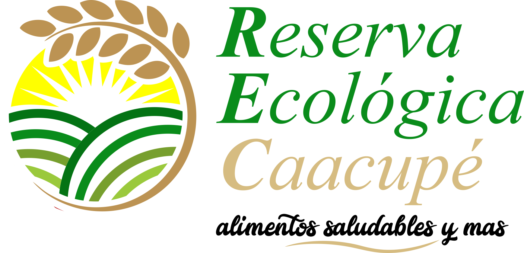 Reserva Ecológica Caacupé, Igl-Webdesign, J&B Igl-Web, Webseiten, Webshop, Onlineshop, SEO, Webseiten, Google Anzeigen, Paraguay